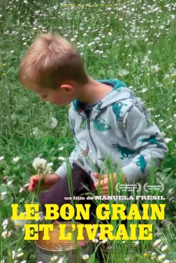 Le Bon Grain et l'Ivraie (2020)